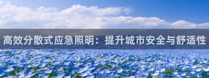 高效分散式应急照明：提升城市安全与舒适性