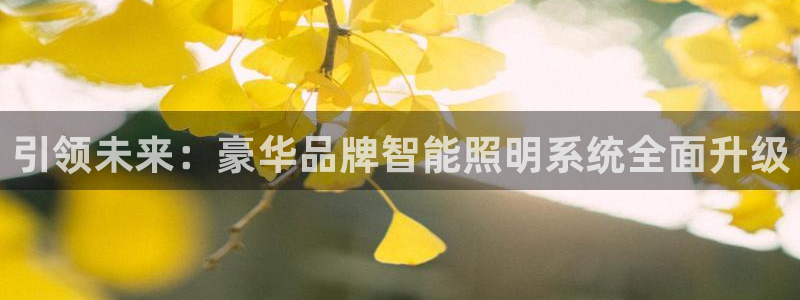 引领未来：豪华品牌智能照明系统全面升级