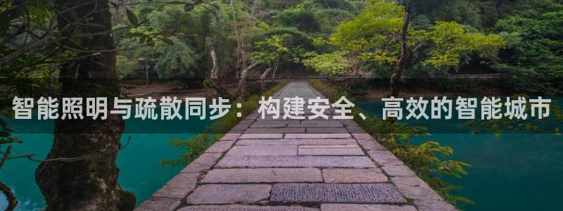 智能照明与疏散同步：构建安全、高效的智能城市