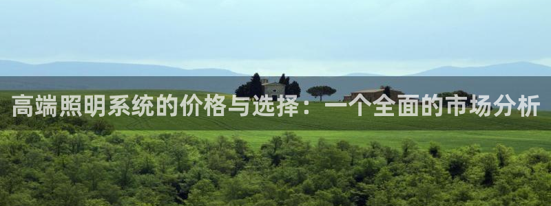高端照明系统的价格与选择：一个全面的市场分析
