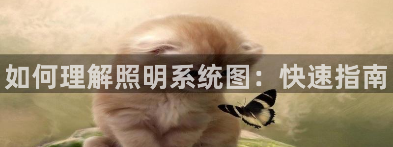 如何理解照明系统图：快速指南