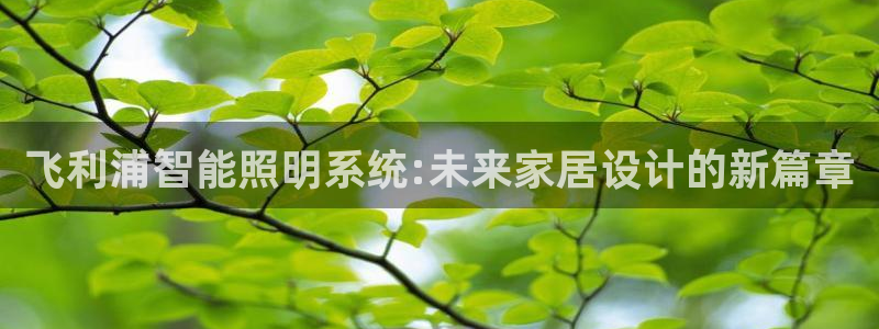 飞利浦智能照明系统:未来家居设计的新篇章